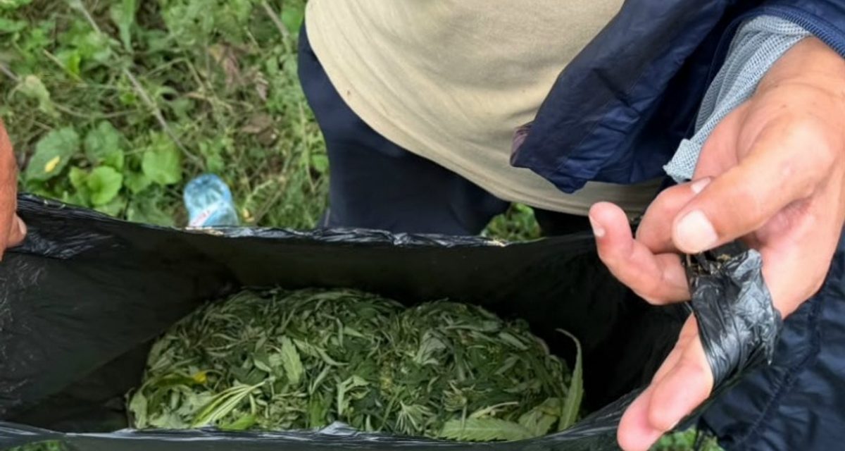 Полиция нашла пакет с 400 граммами марихуаны у жителя Михайловского